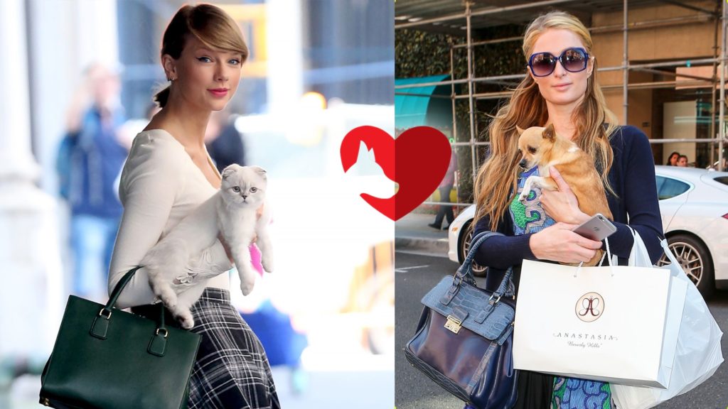 taylor-swift-pets