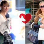 taylor-swift-pets