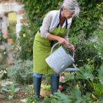 Vegetable Kitchen Garden