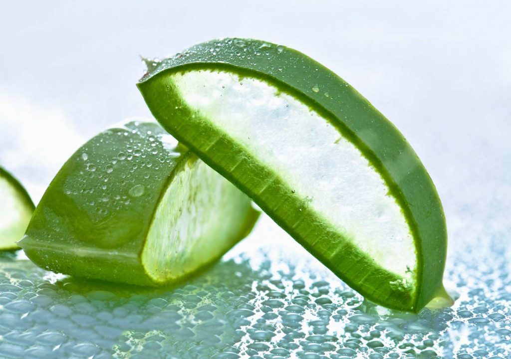 Aloe Vera Benefits