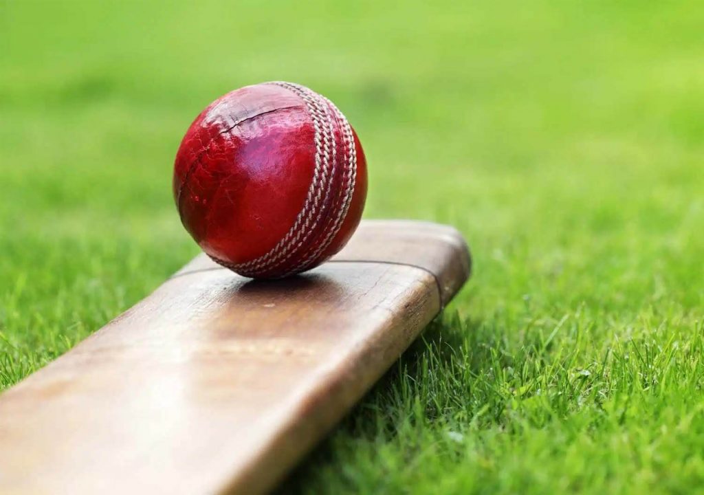 Quick Cricket Updates Sports Cricket Bold Outline