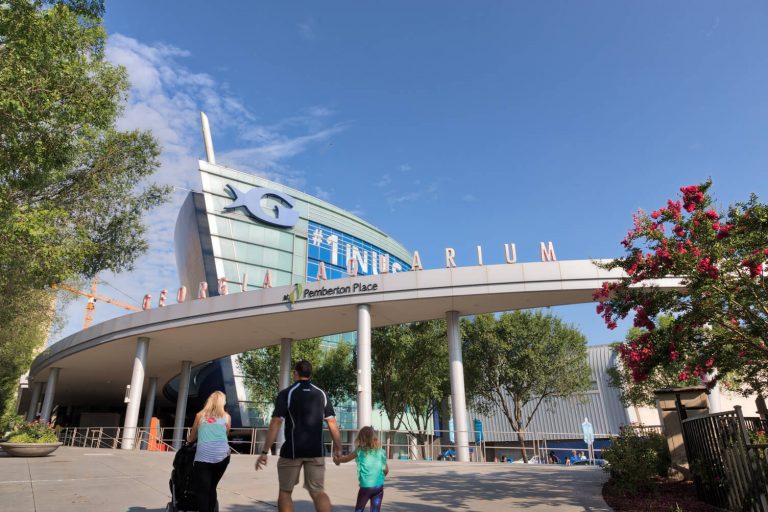 Take your Kids on a Virtual Tour of these Zoos & Aquariums Bold