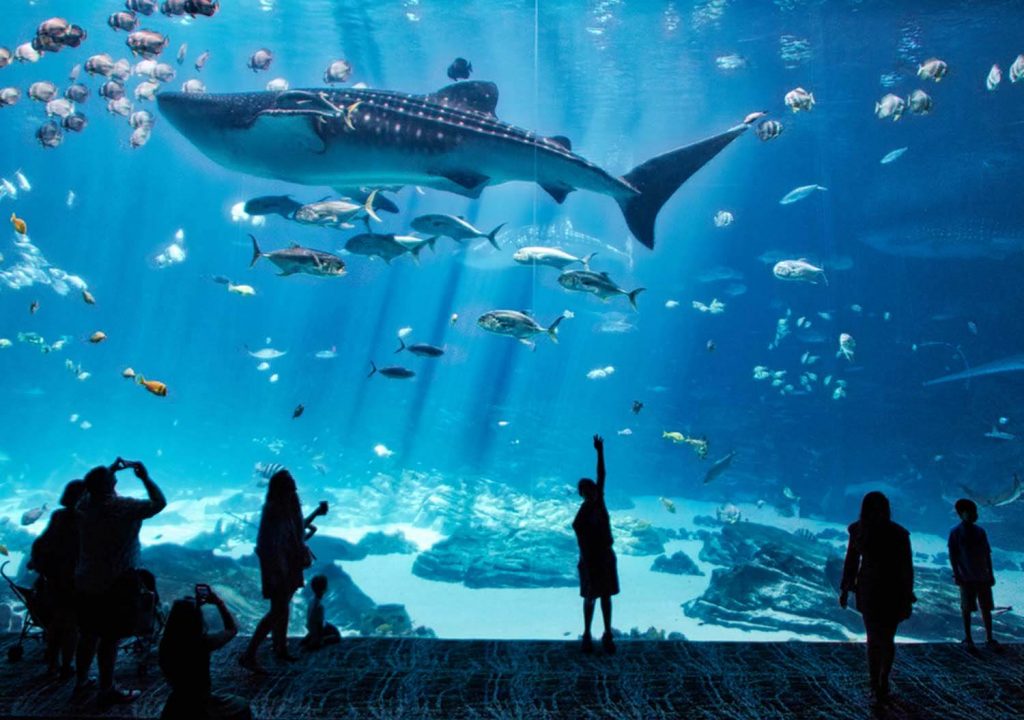virtual aquarium tours
