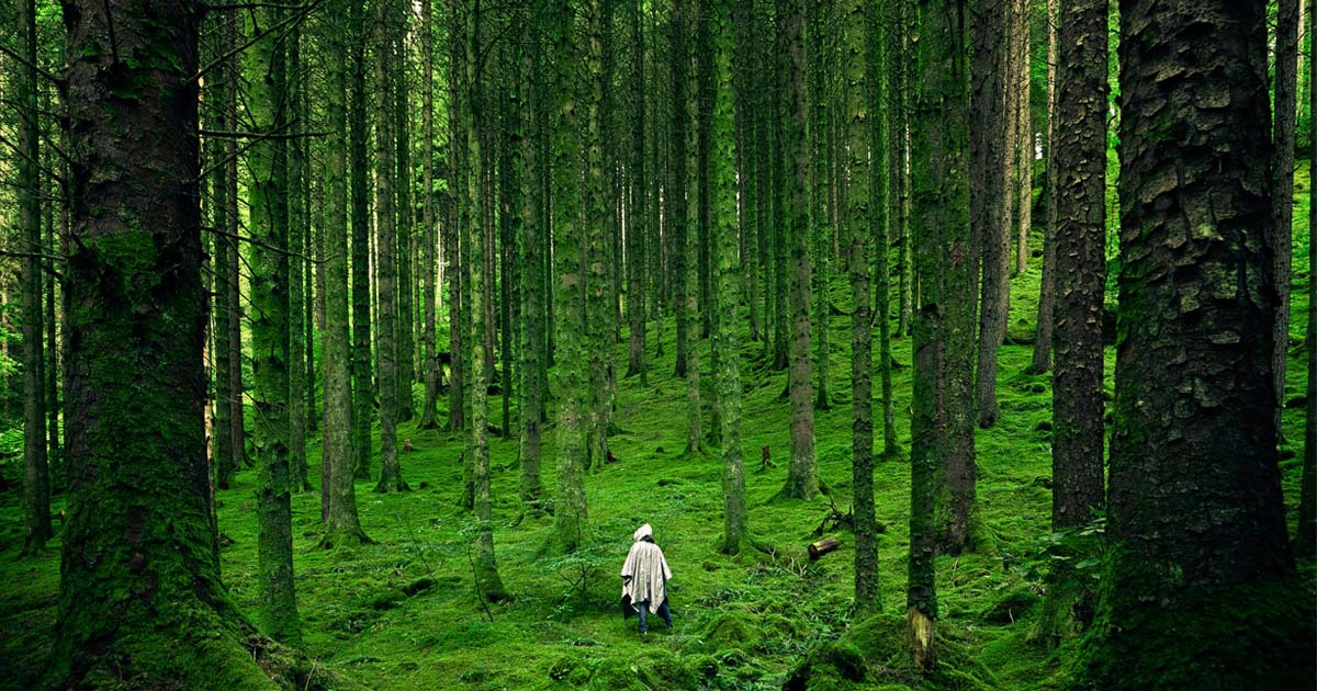 Documentaries To Take Your Attention Towards Nature Bold Outline India S Leading Online Lifestyle Fashion Travel Magazine