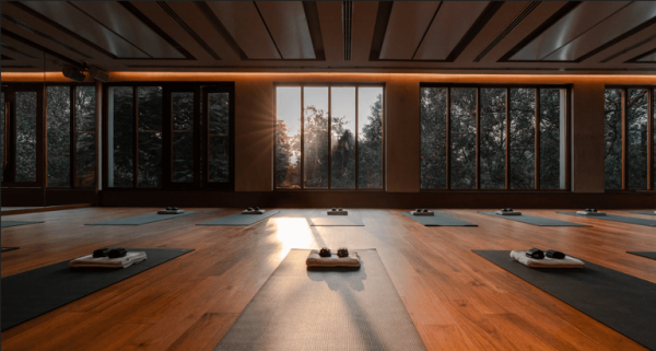 Navami Detox 3.0 at Lifeyoga: An Ancient Seasonal Reset for a Modern ...